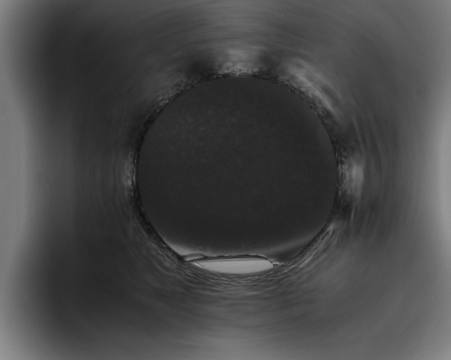 X0000093460517200710121409