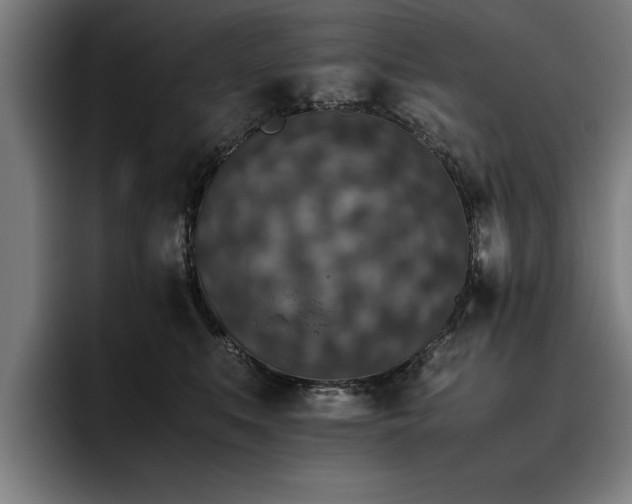 X0000093460519200710121409