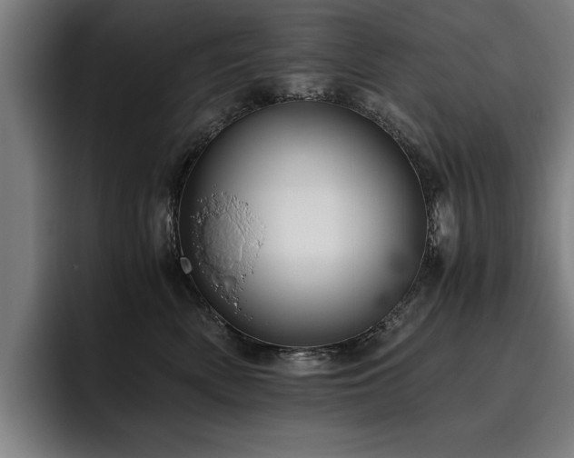 X0000093460522200710121409