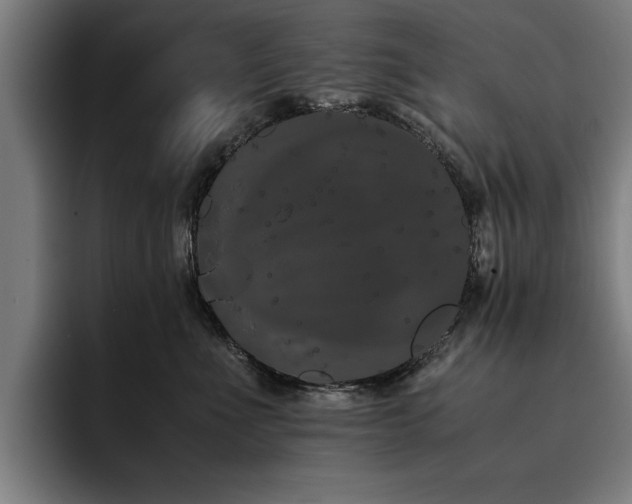 X0000093460523200710121408