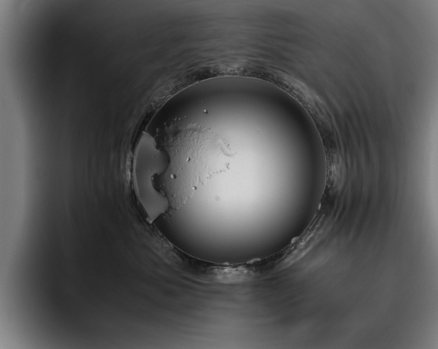 X0000093460525200710121408