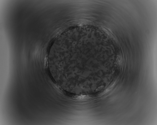 X0000093460527200710121408