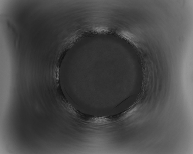 X0000093460528200710121408