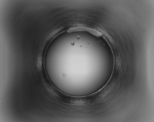 X0000093460533200710121408