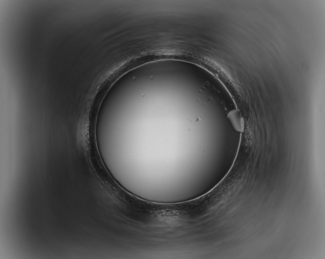 X0000093460535200710121408