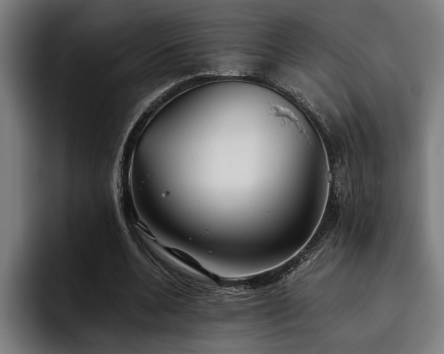 X0000093460536200710121408