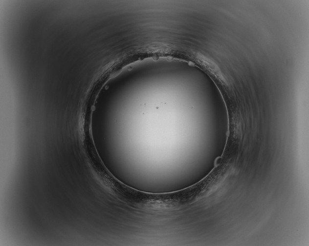 X0000093460538200710121408