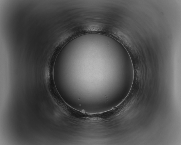 X0000093460539200710121408