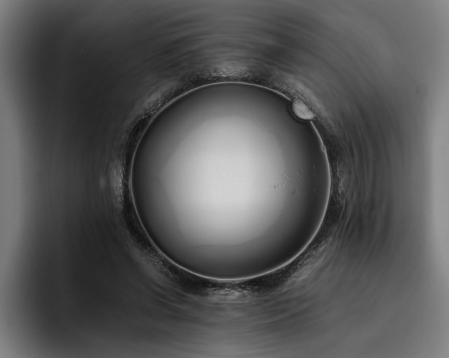 X0000093460542200710121408