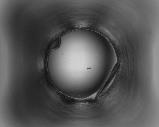 X0000093460543200710121408