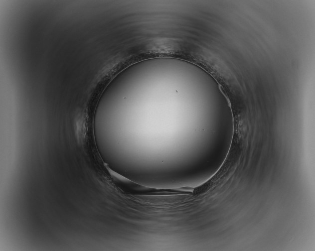 X0000093460544200710121408