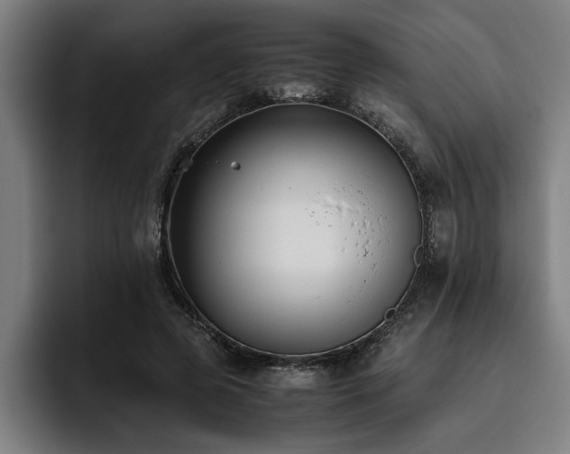 X0000093460545200710121408