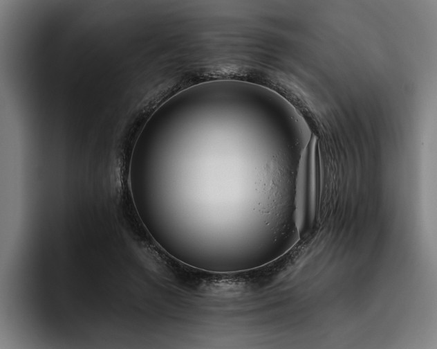 X0000093460546200710121408