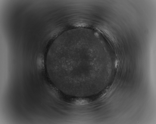 X0000093460547200710121408