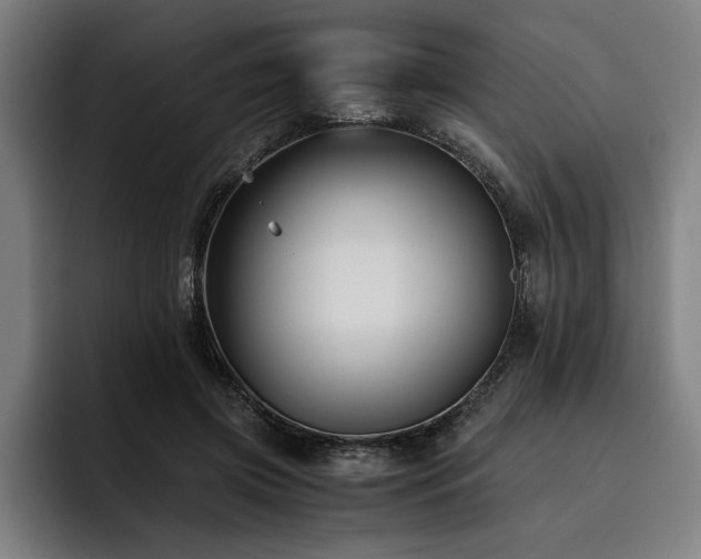 X0000093460549200710121408