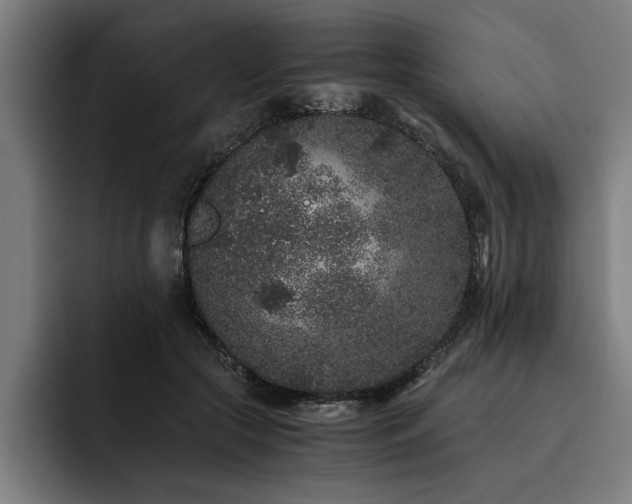 X0000093460553200710121408