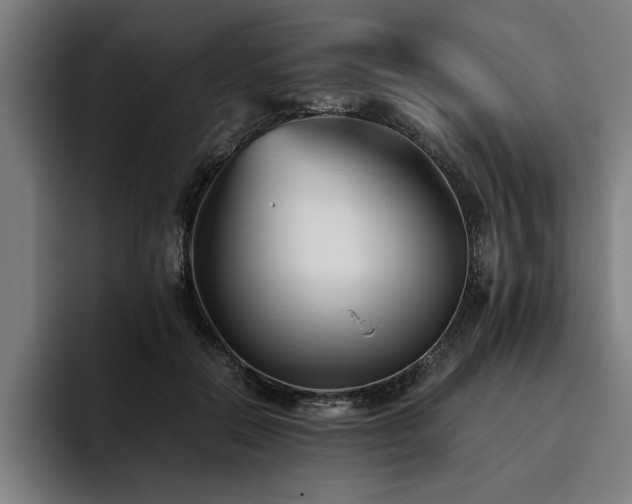 X0000093460554200710121408