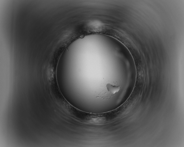 X0000093460555200710121408