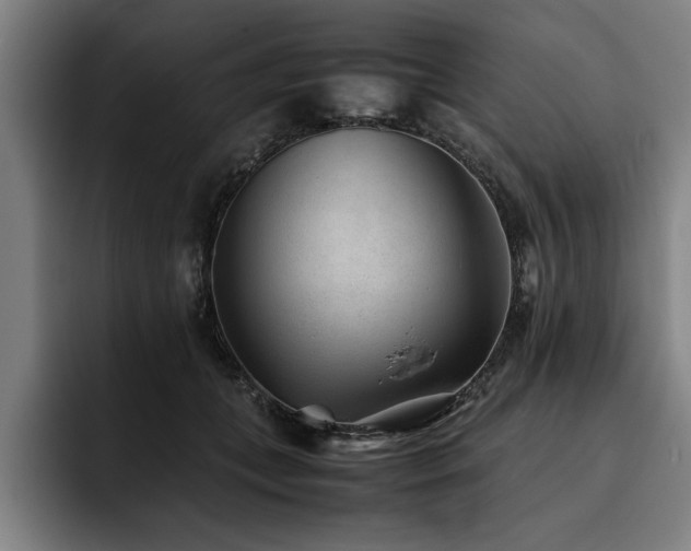 X0000093460559200710121408