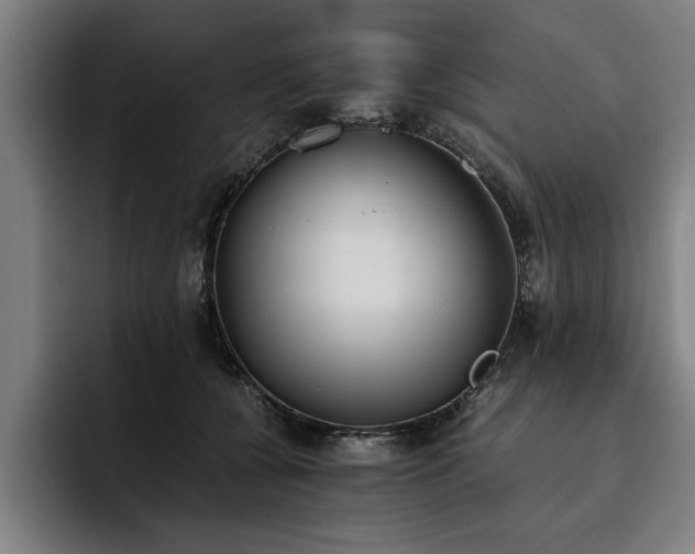 X0000093460560200710121408