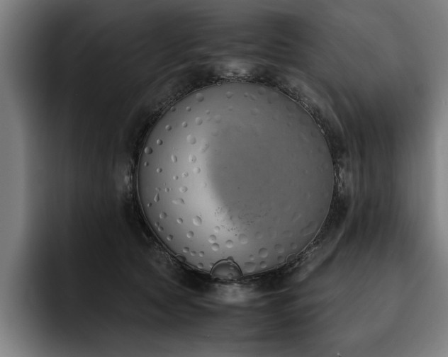 X0000093460561200710121408