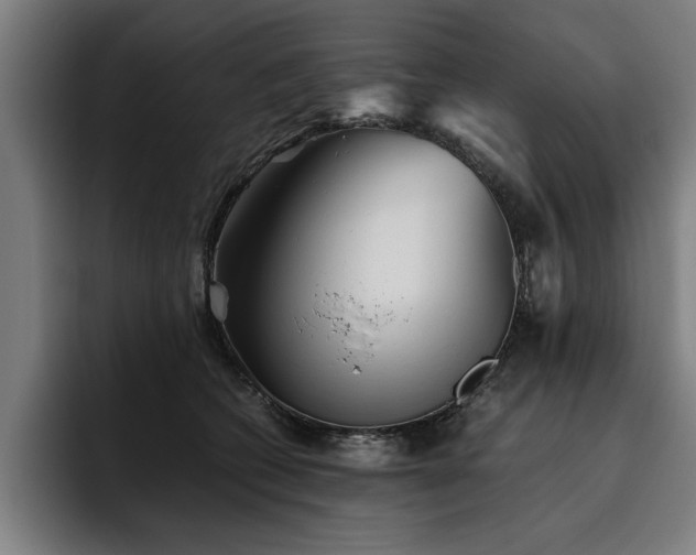 X0000093460562200710121408