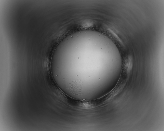 X0000093460565200710121408