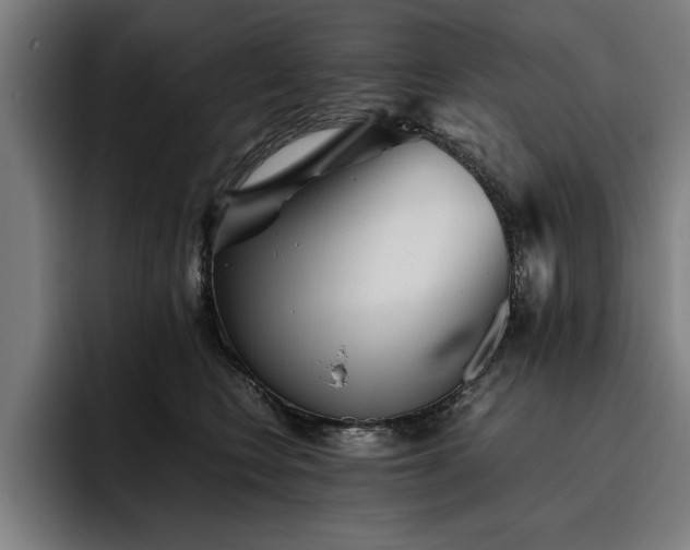 X0000093460566200710121408