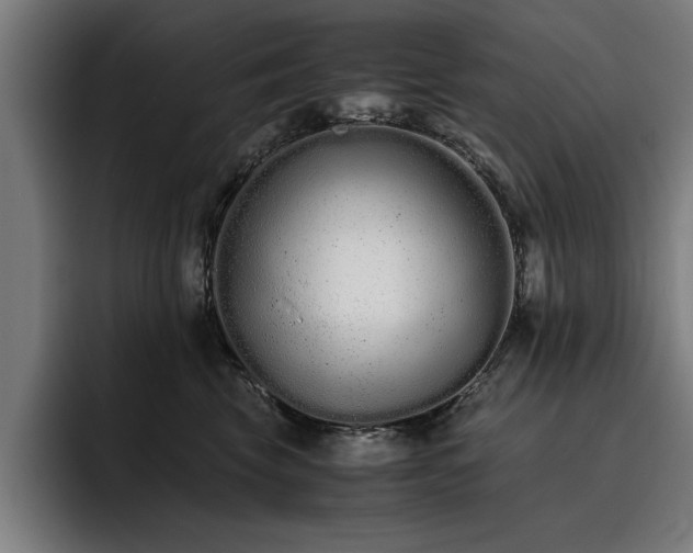 X0000093460569200710121408