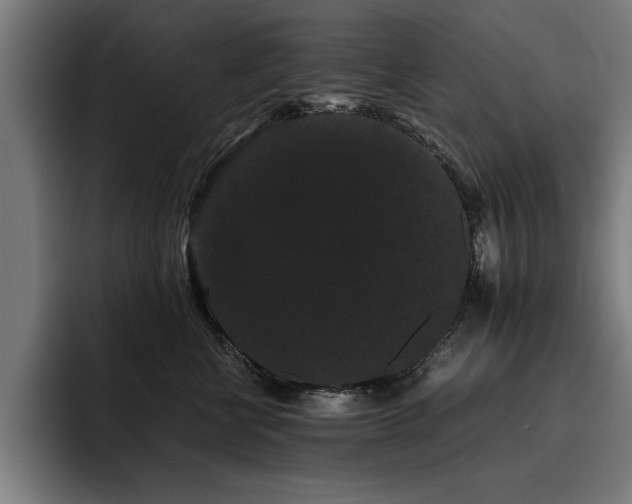 X0000093460570200710121408