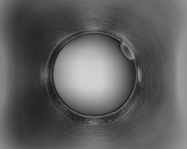 X0000093460579200710121408