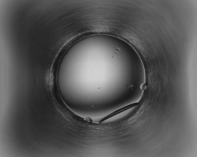 X0000093460584200710121408