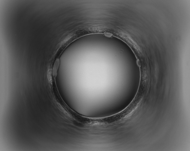 X0000093460585200710121408