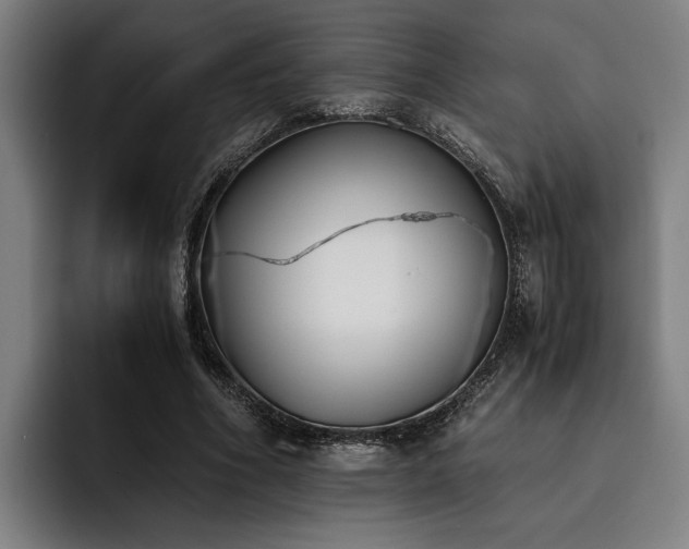 X0000093460586200710121408