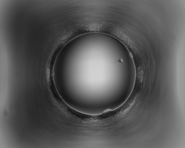 X0000093460589200710121408