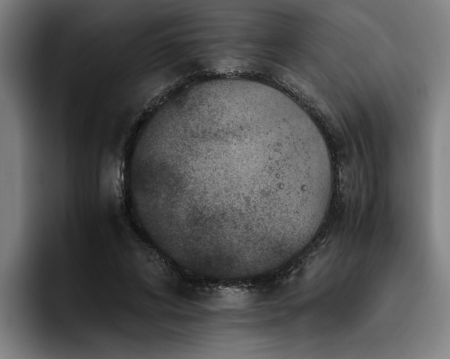 X0000093460592200710121408