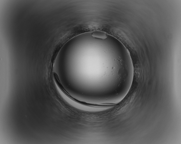 X0000093460593200710121408