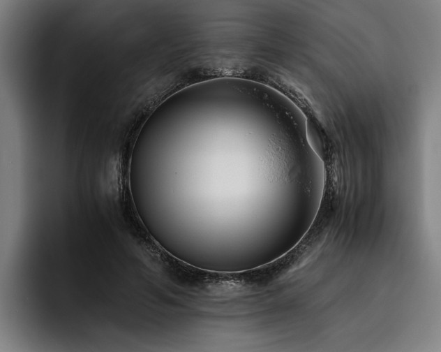 X0000093460594200710121408