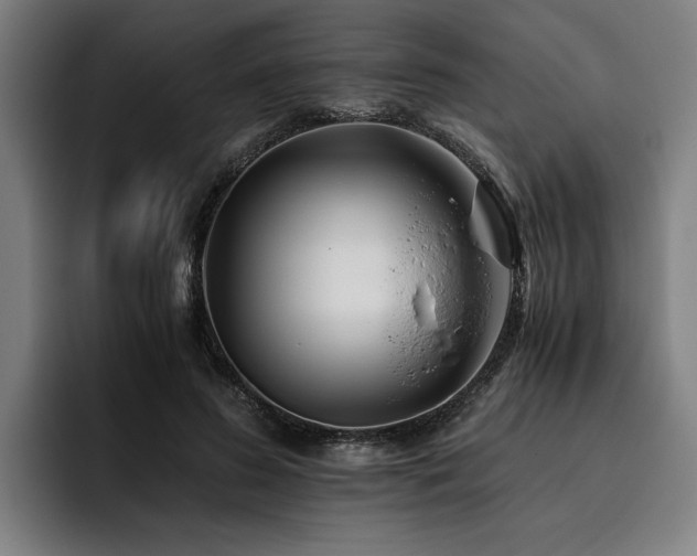 X0000093460596200710121408