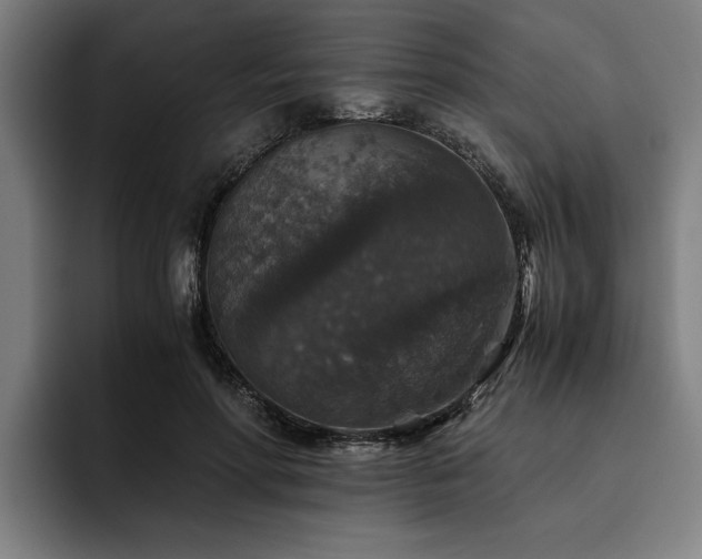 X0000093460598200710121408