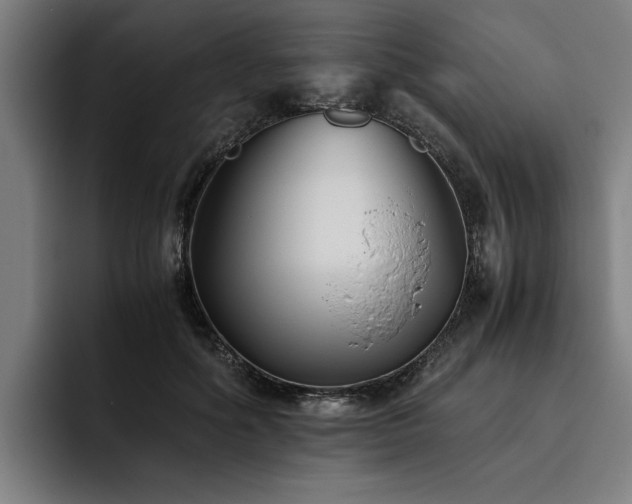 X0000093460602200710121408