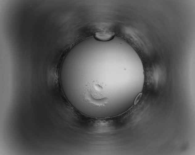 X0000093460613200710121407