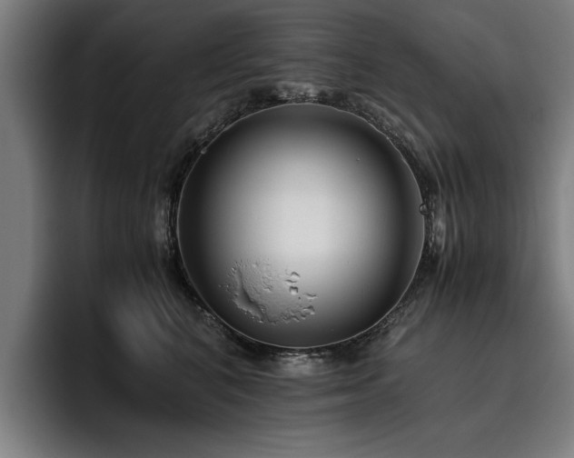 X0000093460616200710121407