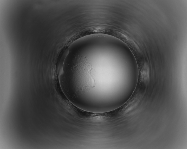 X0000093460620200710121407