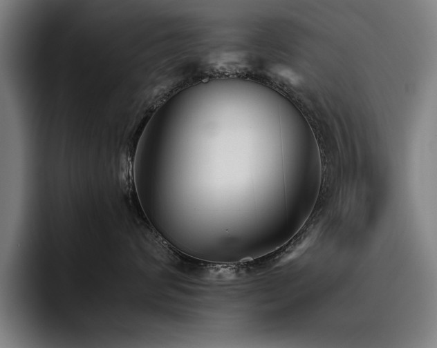 X0000093460624200710121407