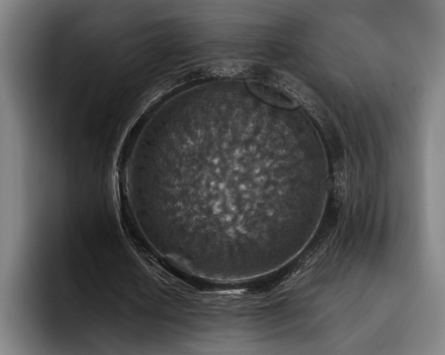 X0000093460626200710121407