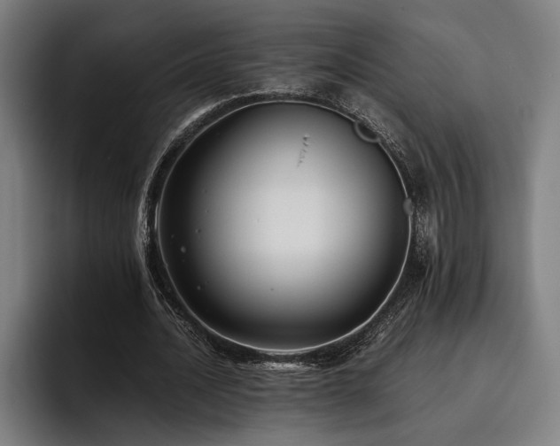 X0000093460628200710121407