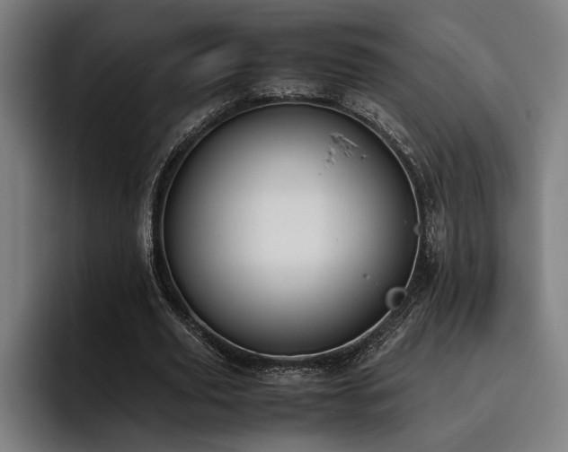 X0000093460629200710121407