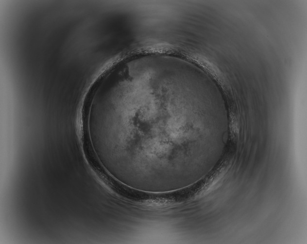 X0000093460630200710121407