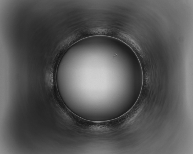 X0000093460633200710121407